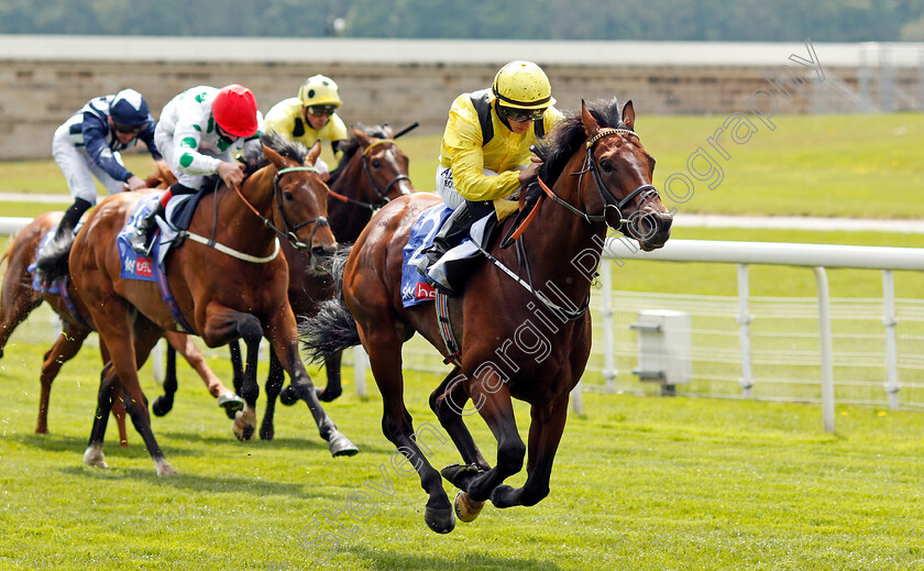 Ilaraab-0003 
 ILARAAB (Tom Marquand) wins The Sky Bet Race To The Ebor Jorvik Handicap
York 12 May 2021 - Pic Steven Cargill / Racingfotos.com