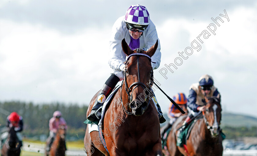 Verbal-Dexterity-0007 
 VERBAL DEXTERITY (Kevin Manning) wins The Goffs Vincent O'Brien National Stakes Curragh 10 Sep 2017 - Pic Steven Cargill / Racingfotos.com