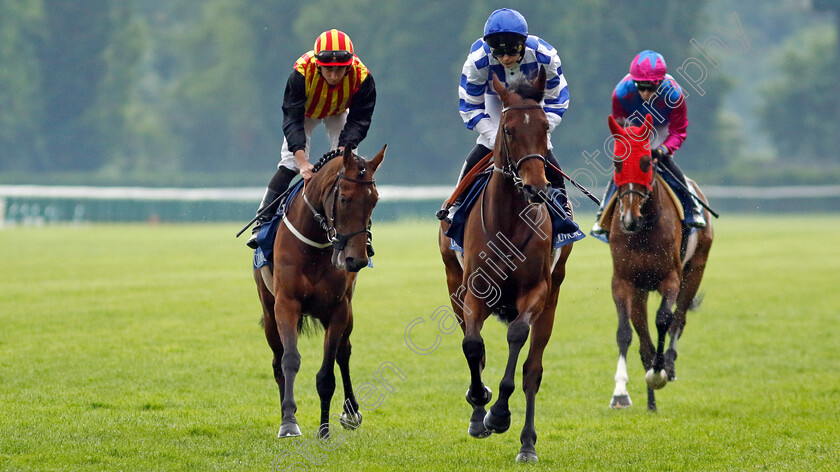 War-Chimes-0001 
 WAR CHIMES (M Velon)
Longchamp 12 May 2024 - Pic Steven Cargill / Racingfotos.com