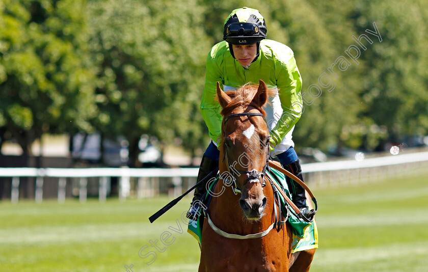 Reelemin 
 REELEMIN (George Rooke)
Newmarket 8 Jul 2022 - Pic Steven Cargill / Racingfotos.com