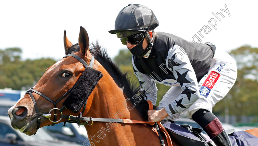 Sefton-Warrior-0001 
 SEFTON WARRIOR (Hollie Doyle) before winning The Visit atttheraces.com Handicap
Yarmouth 3 Aug 2020 - Pic Steven Cargill / Racingfotos.com