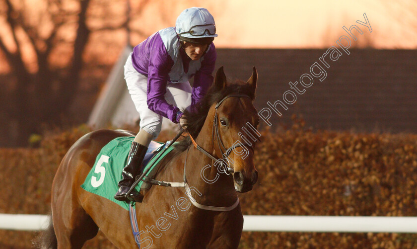 No-Nonsense-0003 
 NO NONSENSE (Liam Keniry) winner of The 32Red Conditions Stakes
Kempton 4 Jan 2019 - Pic Steven Cargill / Racingfotos.com