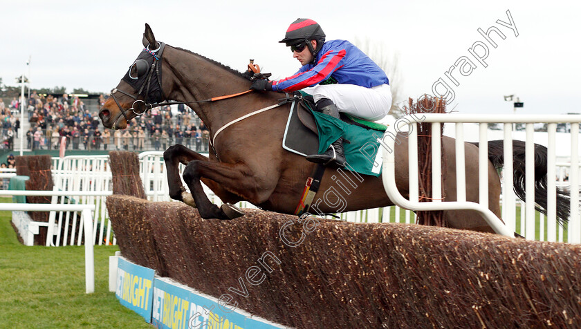 Beware-The-Bear-0003 
 BEWARE THE BEAR (Jeremiah McGrath) wins The Join The BetBright Racing Club Handicap Chase
Cheltenham 1 Jan 2019 - Pic Steven Cargill / Racingfotos.com