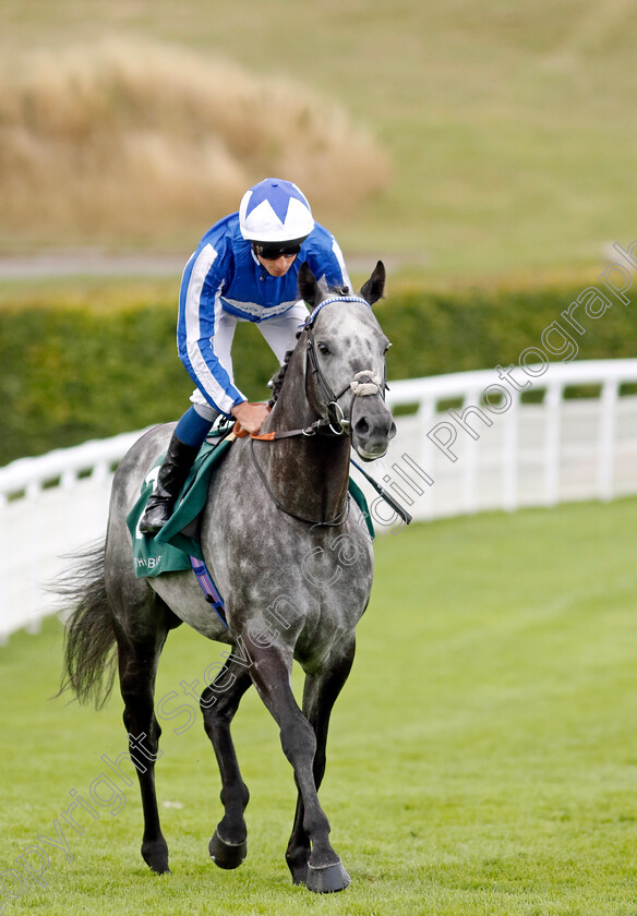 Happy-Power-0001 
 HAPPY POWER (William Buick)
Goodwood 27 Aug 2022 - Pic Steven Cargill / Racingfotos.com