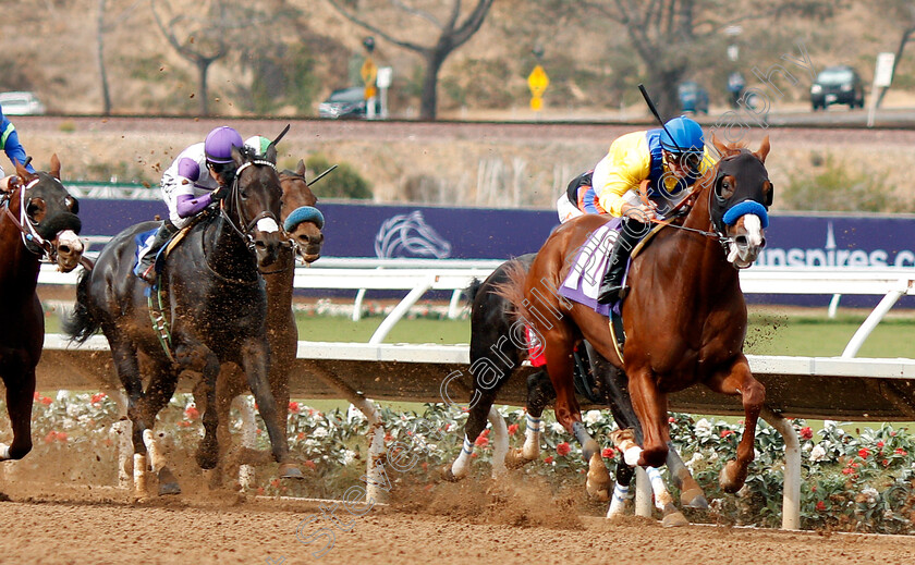 Dabster-0002 
 DABSTER (Flavian Prat) wins Allowance at Del Mar, USA 3 Nov 2017 - Pic Steven Cargill / Racingfotos.com