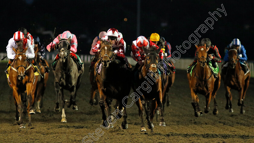 Kalamunda-0003 
 KALAMUNDA (left, Daniel Muscutt) beats NATIVE KING (right) in The North Farm Stud Handicap Div1
Kempton 2 Oct 2024 - Pic Steven Cargill / Racingfotos.com