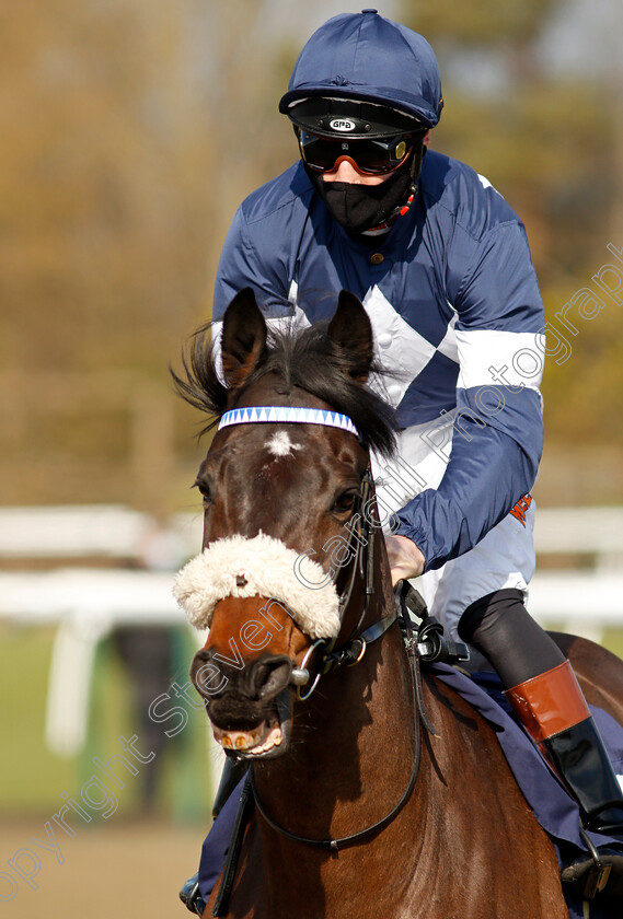 Enough-Already-0001 
 ENOUGH ALREADY (Dougie Costello) winner of The Read Katie Walsh On Betway Insider Handicap
Lingfield 27 Feb 2021 - Pic Steven Cargill / Racingfotos.com