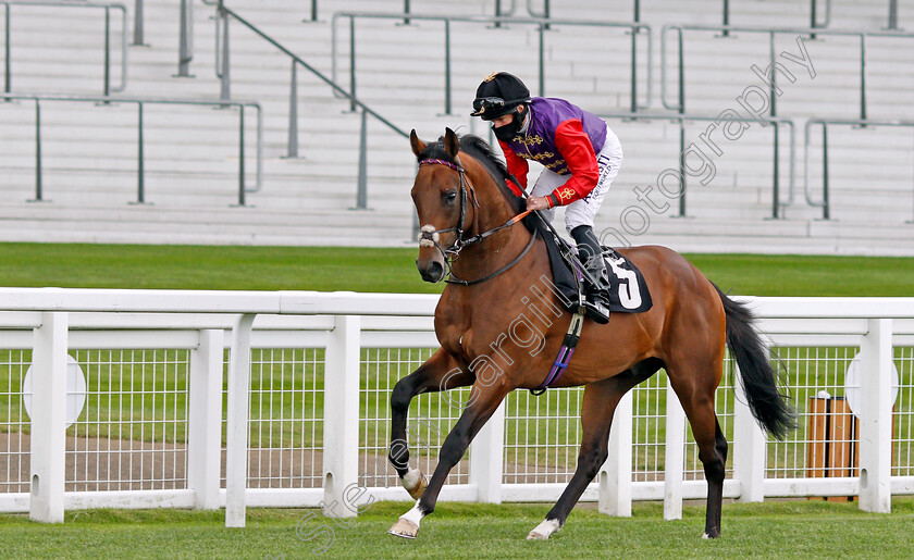 Inveigle-0001 
 INVEIGLE (Ryan Moore)
Ascot 25 Jul 2020 - Pic Steven Cargill / Racingfotos.com