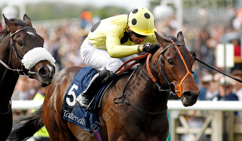 The-Actor-0001 
 THE ACTOR (Sean Levey) wins The Tattersalls EBF Novice Stakes
Newmarket 5 May 2024 - Pic Steven Cargill / Racingfotos.com