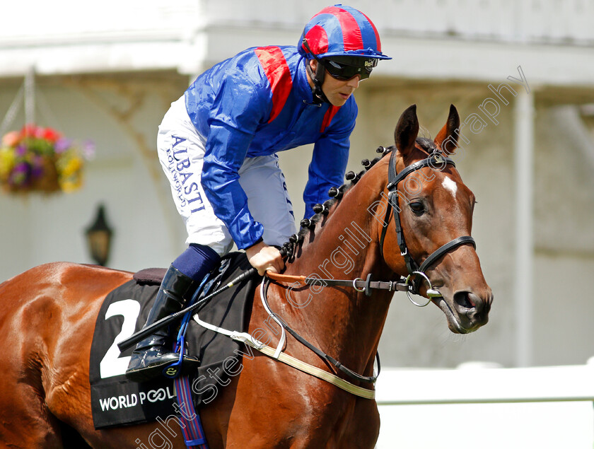 King-Frankel-0002 
 KING FRANKEL (Ben Curtis)
Epsom 5 Jun 2021 - Pic Steven Cargill / Racingfotos.com