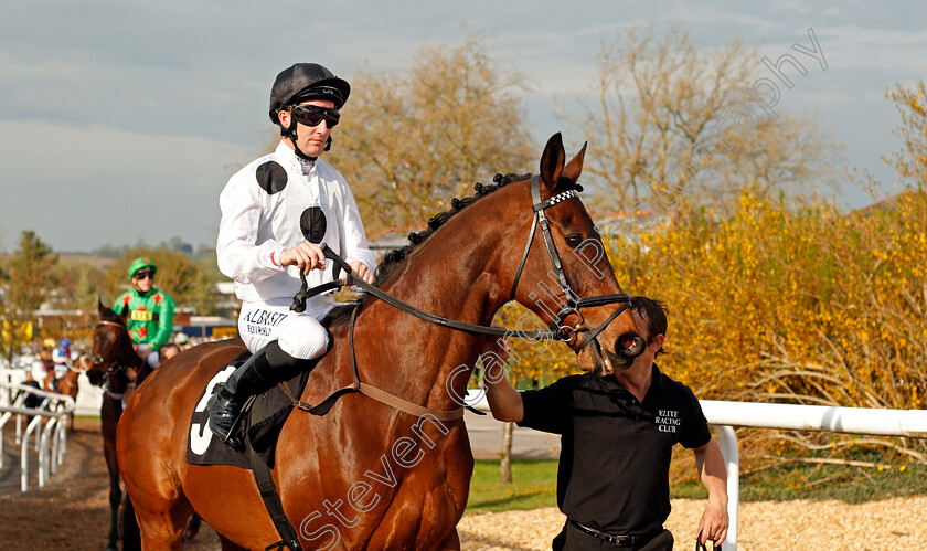 Man-Of-Harlech-0001 
 MAN OF HARLECH (Pat Cosgrave) Newbury 21 Apr 2018 - Pic Steven Cargill / Racingfotos.com