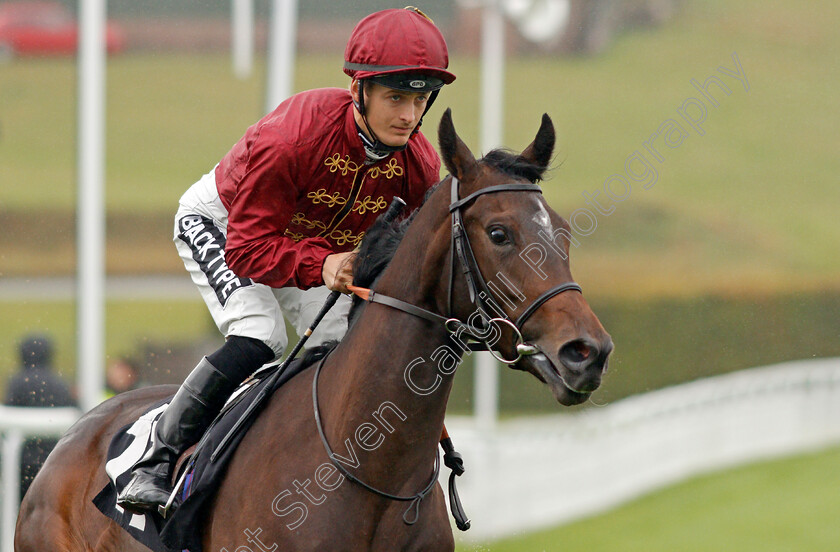 Merryweather-0001 
 MERRYWEATHER (Harry Bentley)
Goodwood 25 Sep 2019 - Pic Steven Cargill / Racingfotos.com