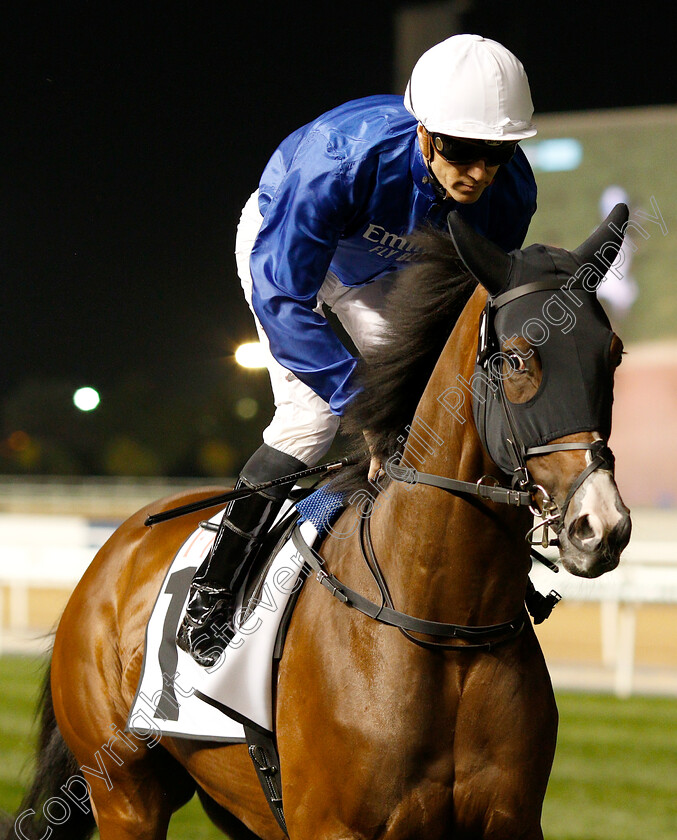 Burj-0001 
 BURJ (Christophe Soumillon)
Meydan 14 Feb 2019 - Pic Steven Cargill / Racingfotos.com