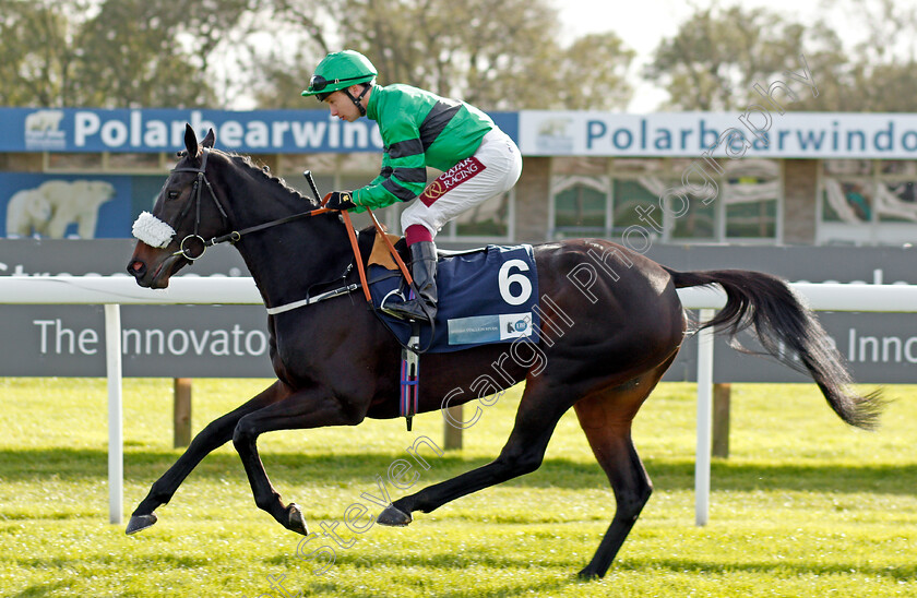 Lorelina-0001 
 LORELINA (Oisin Murphy)
Bath 16 Oct 2019 - Pic Steven Cargill / Racingfotos.com