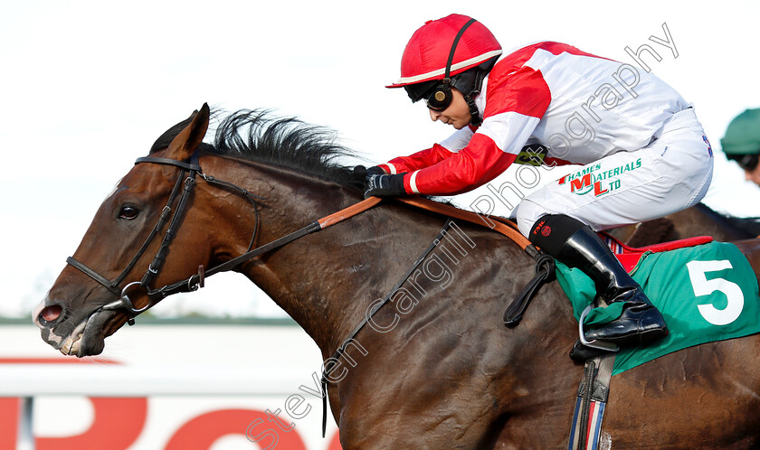 Fortune-And-Glory-0005 
 FORTUNE AND GLORY (Nicola Currie) wins The Bet At racinguk.com Handicap
Kempton 8 Aug 2018 - Pic Steven Cargill / Racingfotos.com