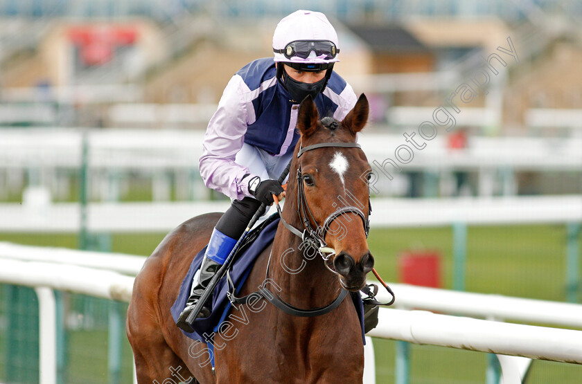 Chateau-d If-0001 
 CHATEAU D'IF (Benoit de la Sayette)
Doncaster 28 Mar 2021 - Pic Steven Cargill / Racingfotos.com