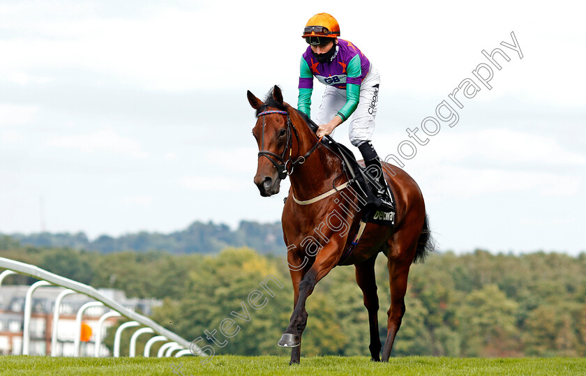 Lady-Bowthorpe-0001 
 LADY BOWTHORPE (Kieran Shoemark)
Sandown 23 Aug 2020 - Pic Steven Cargill / Racingfotos.com