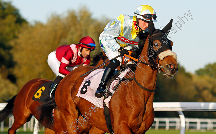 Lassie 
 LASSIE (Jane Elliott)
Kempton 6 Oct 2021 - Pic Steven Cargill / Racingfotos.com