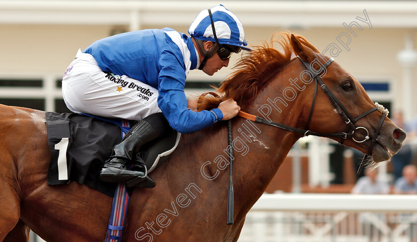 Moyassar-0008 
 MOYASSAR (Jim Crowley) wins The Hop House 13 Novice Stakes
Chelmsford 24 Jul 2018 - Pic Steven Cargill / Racingfotos.com