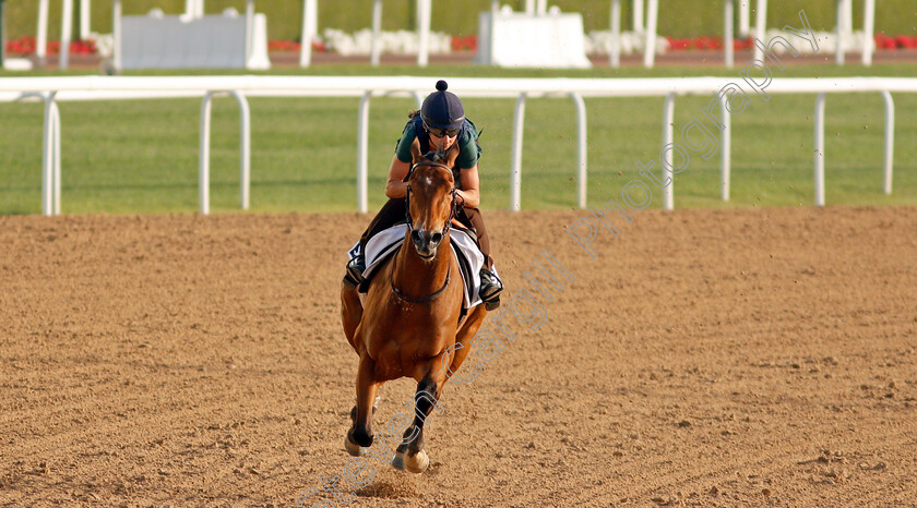 Suesa-0002 
 SUESA training for the Al Quoz Sprint
Meydan, Dubai, 23 Mar 2022 - Pic Steven Cargill / Racingfotos.com