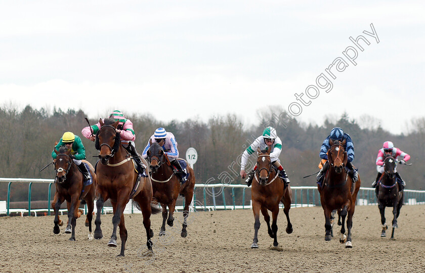 Sir-Ox-0001 
 SIR OX (Luke Morris) wins The Ladbrokes Home Of The Odds Boost Handicap
Lingfield 25 Jan 2019 - Pic Steven Cargill / Racingfotos.com