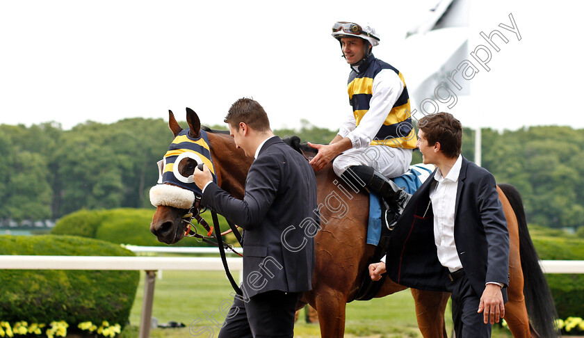 Amade-0011 
 AMADE (Flavien Prat) after The Belmont Gold Cup Invitational
Belmont Park USA, 7 Jun 2019 - Pic Steven Cargill / Racingfotos.com