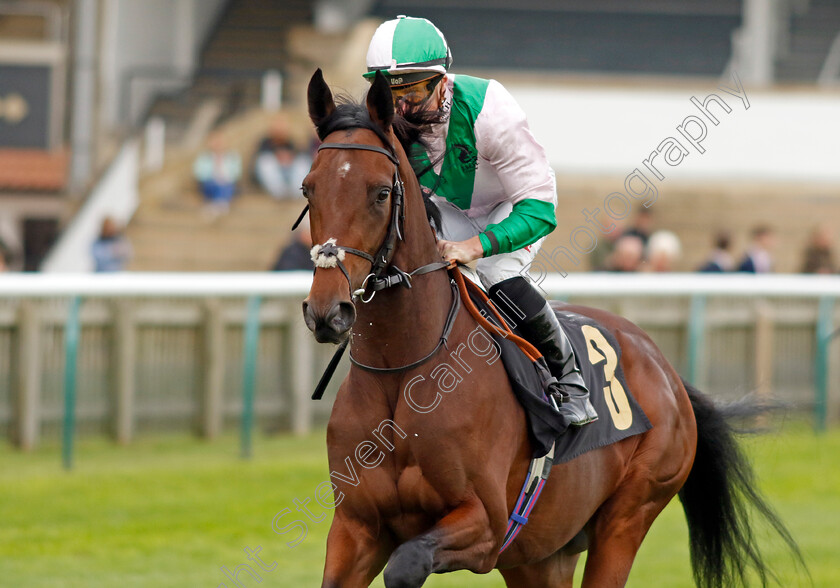 Crown-Of-India-0002 
 CROWN OF INDIA (Tom Marquand)
Newmarket 25 Oct 2023 - Pic Steven Cargill / Racingfotos.com