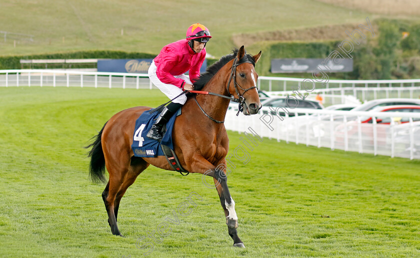 Pink-Fire-Lilly-0001 
 PINK FIRE LILLY (C D Maxwell)
Goodwood 27 Aug 2022 - Pic Steven Cargill / Racingfotos.com