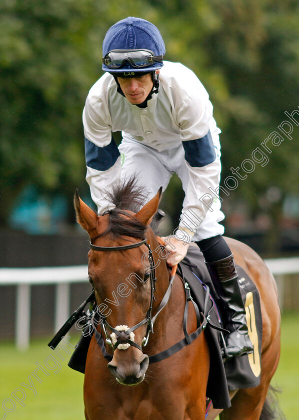 Mirroring-0001 
 MIRRORING (Barry McHugh)
Newmarket 5 Aug 2023 - Pic Steven Cargill / Racingfotos.com