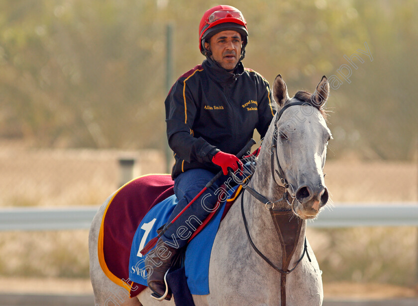 Dark-Power-0001 
 DARK POWER preparing for the Saudi Cup
Riyadh Racetrack, Kingdom of Saudi Arabia 27 Feb 2020 - Pic Steven Cargill / Racingfotos.com