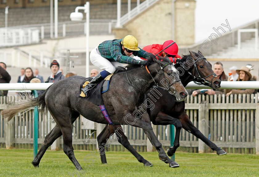 Shemozzle-0002 
 SHEMOZZLE (left, Hector Crouch) beats SO LOGICAL (right) in The racingtv.com Fillies Restricted Novice Stakes
Newmarket 25 Oct 2023 - Pic Steven Cargill / Racingfotos.com