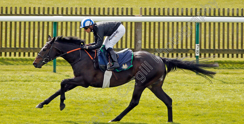 Elarqam-0004 
 ELARQAM (Jim Crowley) gallops at Newmarket 17 Apr 2018 - Pic Steven Cargill / Racingfotos.com