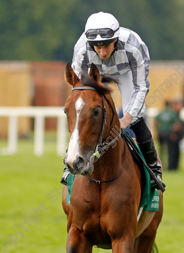 Broome-0001 
 BROOME (Ryan Moore)
York 25 Aug 2023 - Pic Steven Cargill / Racingfotos.com