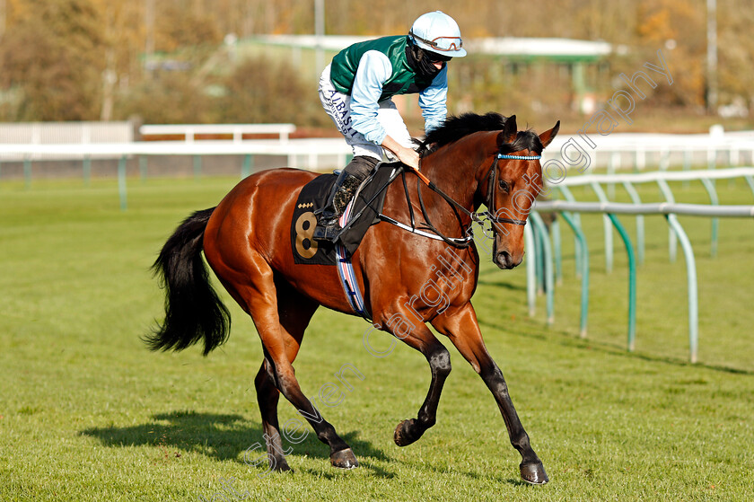 Skytree-0001 
 SKYTREE (Tom Marquand)
Nottingham 4 Nov 2020 - Pic Steven Cargill / Racingfotos.com