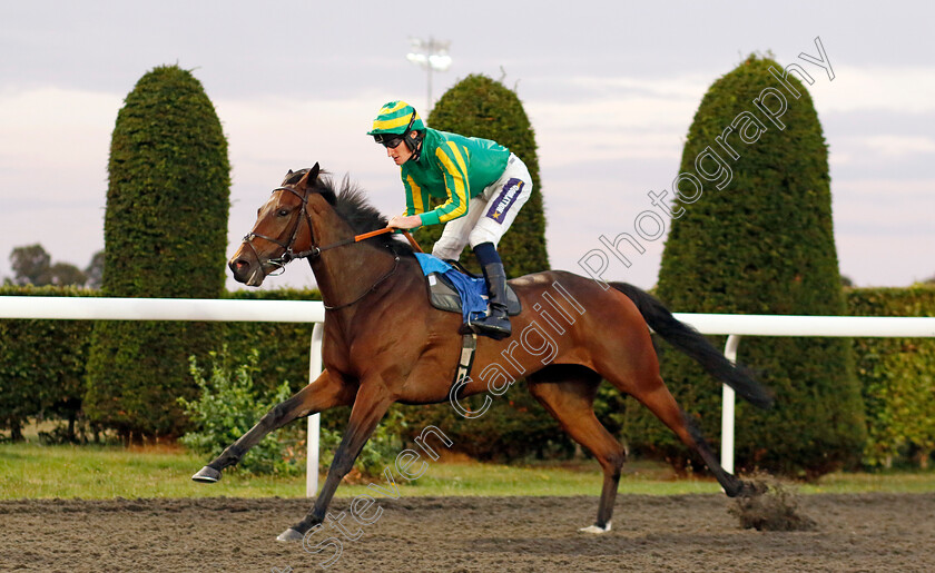 Carpathian-0003 
 CARPATHIAN (Daniel Muscutt) wins The Try Unibet's Improved Bet Builder Fillies Handicap
Kempton 28 Aug 2024 - Pic Steven Cargill / Racingfotos.com