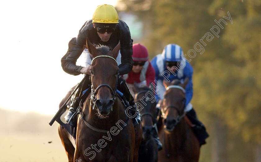 Fabulist-0006 
 FABULIST (Robert Havlin) wins The Coates & Seely Brut Reserve Fillies Novice Stakes
Newmarket 28 Jun 2019 - Pic Steven Cargill / Racingfotos.com