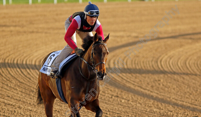 Happy-Romance-0001 
 HAPPY ROMANCE training for The Al Quoz Sprint
Meydan, Dubai, 22 Mar 2023 - Pic Steven Cargill / Racingfotos.com