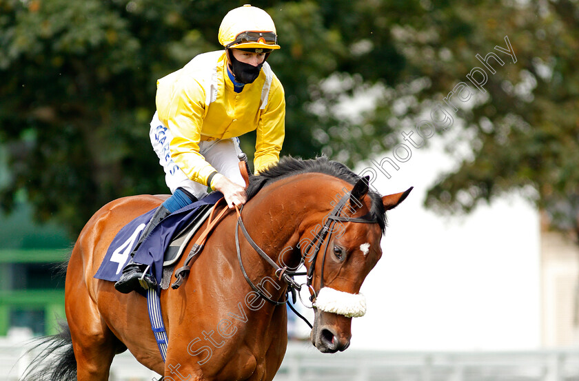 Fortuitous-0001 
 FORTUITOUS (Joey Haynes)
Yarmouth 15 Jul 2020 - Pic Steven Cargill / Racingfotos.com