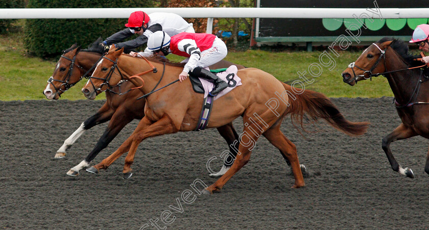 Merry-Secret-0002 
 MERRY SECRET (farside, Alistair Rawlinson) beats SHAQEEQA (nearside) in The Try Our New Super Boosts At Unibet Handicap
Kempton 16 Feb 2021 - Pic Steven Cargill / Racingfotos.com