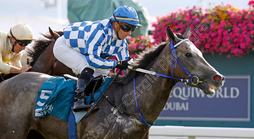 Silver-Sword-0002 
 SILVER SWORD (Greg Cheyne) wins The Sky Bet Mile Handicap
York 25 Aug 2023 - Pic Steven Cargill / Racingfotos.com