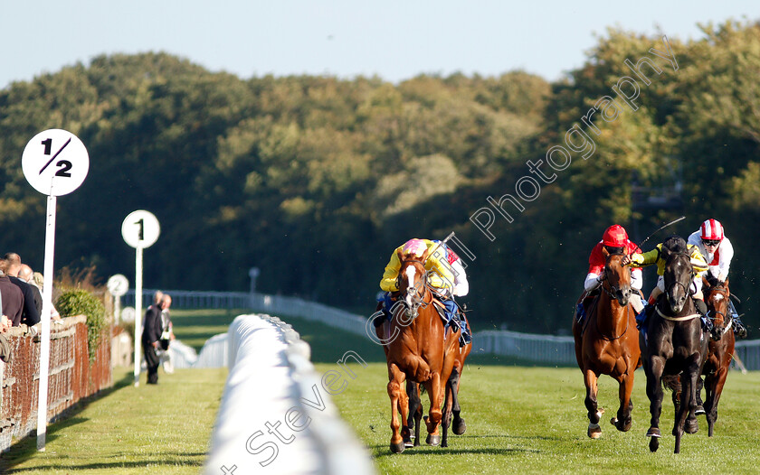 Naughty-Rascal-0001 
 NAUGHTY RASCAL (left, Tom Marquand) beats CHYNNA (right) in The Myddleton & Major Conditions Stakes
Salisbury 3 Oct 2018 - Pic Steven Cargill / Racingfotos.com