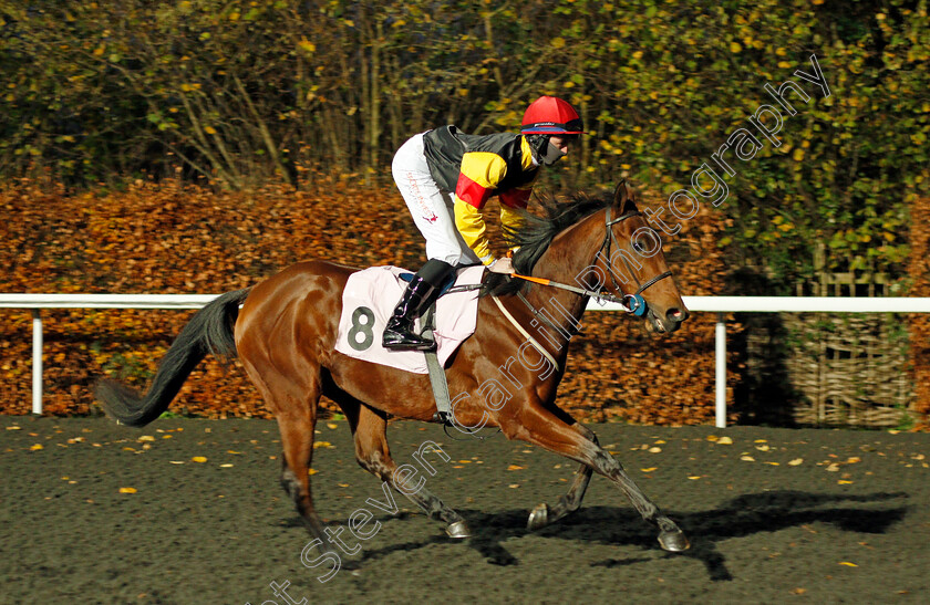 Sepora-0001 
 SEPORA (Rossa Ryan)
Kempton 25 Nov 2020 - Pic Steven Cargill / Racingfotos.com