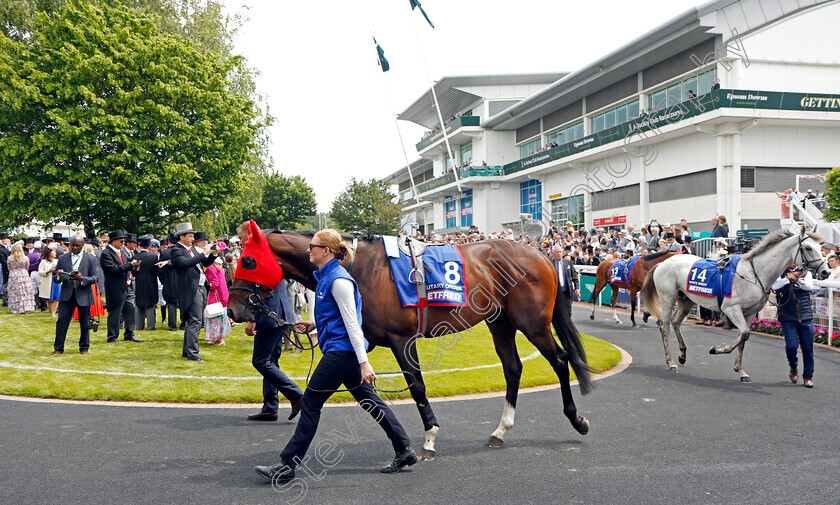 Military-Order-7645 
 MILITARY ORDER
Epsom 3 Jun 2023 - Pic Steven Cargill / Racingfotos.com