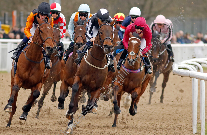 Zealot-and-Benacre-0001 
 ZEALOT (left, Daniel Muscutt) with BENACRE (centre, Billy Loughnane) 
Wolverhampton 9 Mar 2024 - Pic Steven Cargill / Racingfotos.com