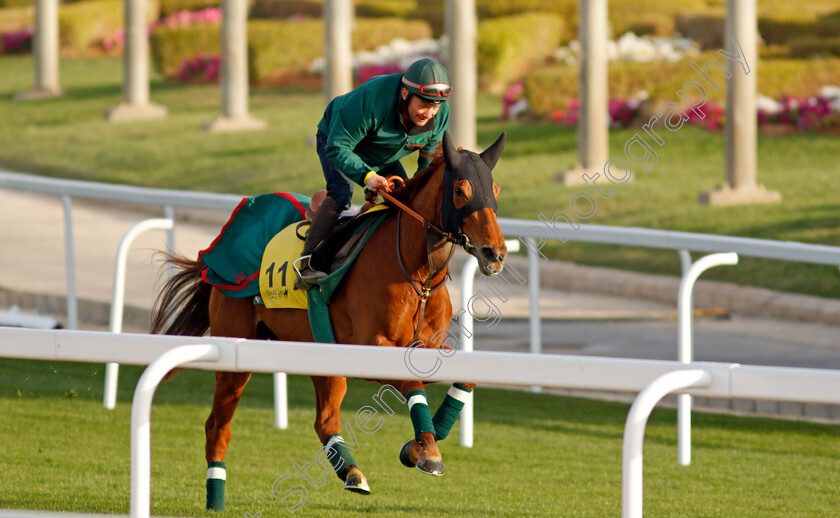 Ebaiyra-0001 
 EBAIYRA training for the Turf Cup
King Abdulaziz Racetrack, Riyadh, Saudi Arabia 24 Feb 2022 - Pic Steven Cargill / Racingfotos.com