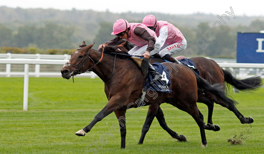 Cadmus-0004 
 CADMUS (William Buick) wins The Peroni Nastro Azzurro Novice Stakes
Ascot 30 Sep 2022 - Pic Steven Cargill / Racingfotos.com