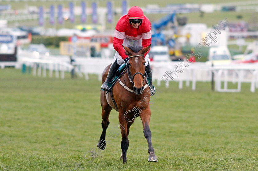 Laurina-0004 
 LAURINA (Paul Townend) wins The Trull House Stud Mares Novices Hurdle Cheltenham 15 Mar 2018 - Pic Steven Cargill / Racingfotos.com