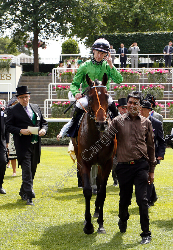 Arthur-Kitt-0010 
 ARTHUR KITT (Richard Kingscote) after The Chesham Stakes
Royal Ascot 23 Jun 2018 - Pic Steven Cargill / Racingfotos.com