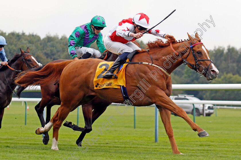 Holloway-Boy-0001 
 HOLLOWAY BOY (William Buick) wins The Betfair Superior Mile Stakes
Haydock 7 Sep 2024 - Pic Steven Cargill / Racingfotos.com