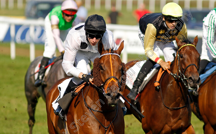 Tiffany-0002 
 TIFFANY (Luke Morris) wins The T. Von Zastrow Stutenpreis (Group 2)
Baden-Baden 31 Aug 2024 - Pic Steven Cargill / Racingfotos.com